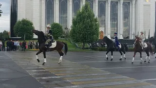 Конный парад в Ташкенте прошел 4 мая#конныйспорт #парад #торжество #красота #tashkent #city