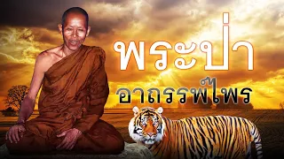 พระป่ากับอาถรรพ์ไพร