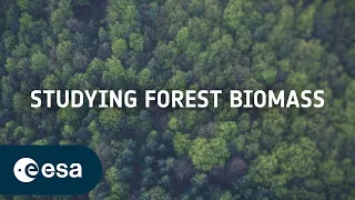 Studying forest biomass from space