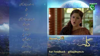 Gila Ep 25 Teaser [ Wahaj Ali - Anzela Abbasi ] Best Pakistani Serial - HUM TV