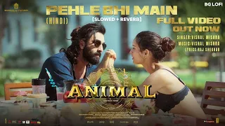 ANIMAL:Pehle Bhi Main (Slowed + Reverb) | Ranbir Kapoor, Tripti Dimri |Sandeep V | BG Lofi