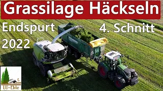 Grassilage Häckseln | Endspurt 2022 | 4. Schnitt | Claas, Fendt, John-Deere, Case