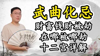 武曲化忌，财富钱财被劫在哪被哪劫，十二宫详解