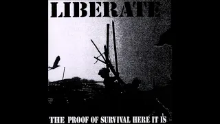 Liberate ‎– The Proof Of Survival Here It Is... - 12"  - Bloodsucker Records (1998)