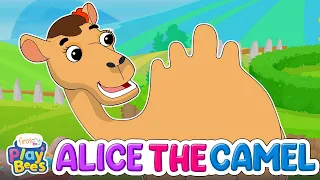 Alice The Camel | Fun Learning Rhymes & Songs By FirstCry PlayBees