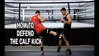 Jeremy Stephens vs Gilbert Melendez Calf Kick Breakdown