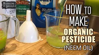 Quick & Easy Life Hack! - Homemade Organic Neem Oil