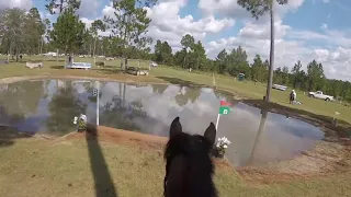 GoPro: Lissavorra Quality (CCI 2* -S | 2023 Stable View Oktoberfest Horse Trials)