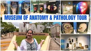 MAP MANIPAL TOUR | Museum of Anatomy and Pathology Manipal Tour | Nimisha Raizada