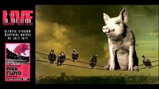 Pink Floyd - Sheep LIVE 1977