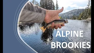 Wild alpine brookies with the KOWASA tenkara rod.