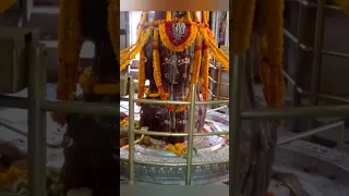 यहां है अष्टमुखी पशुपतिनाथ का मंदिर ❤️ #shortsvideo #pashupatinath #bholenath