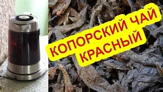 Red (ruby) Koporye tea 🌺 or "cold magic". Russian tea.