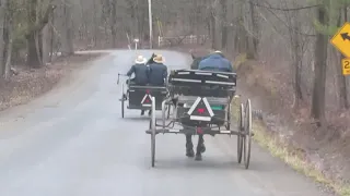 Amish Drag Race