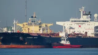 Shipspotting Rotterdam Okt 2018