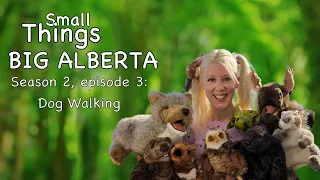 Small Things BIG Alberta! S2 EP 3