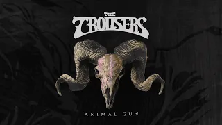 The Trousers - Animal Gun, 2022 - 10 Secret symmetry