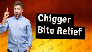 Do chigger bites ever go away?