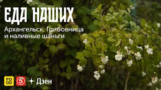 ЕДА НАШИХ. Архангельск: ГРИБОВНИЦА и НАЛИВНЫЕ ШАНЬГИ.