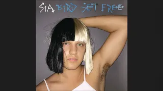 Sia - Bird Set Free (NFTP Tour Version)