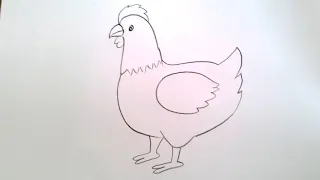 how to draw hen drawing easy step by step@Aarav Drawing Creative