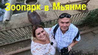 Покупаем рубины в Мьянме. Уличные рынки. Янгонский зоопарк.