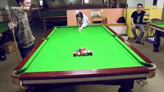 Chinese woman pulls off incredible trick shot 1546095376486