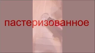 Дегустатор "От Бога"