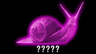 15 Snail "Slithering" Sound Variations in 45 Seconds | MODIFY EVERYTHING
