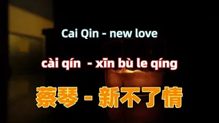 蔡琴 - 新不了情  Cai Qin - new love  .Chinese songs lyrics with Pinyin.