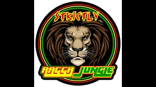 RAGGA JUNGLE / DUBWIZE / DRUM AND BASS MIX 2021 / REGGAE D&B / - LIVE - WWW.STRICTLYRAGGAJUNGLE.COM