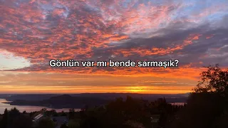 Mabel Matiz - Sarmaşık (Lyrics/Şarkı Sözleri)