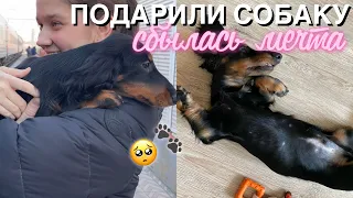 МНЕ ПОДАРИЛИ СОБАКУ! Сбылась моя мечта, Первый день щенка дома