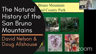 The Natural History of the San Bruno Mountains, a talk by David Nelson and Doug Allshouse 2/17/2021