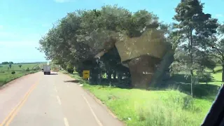 Viagem de ônibus de Rio Branco-Acre a Porto Velho-Rondônia pela Rodovia BR-364