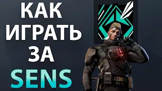 [Гайд] Rainbow Six Siege - Сенс / Sens