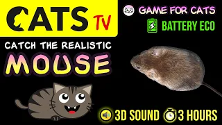 GAME FOR CATS  - The best MOUSE for CATS 🐭 Battery ECO 🔋 3 HOURS  [CATS TV] 60FPS