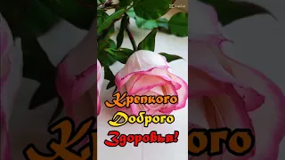 Хорошего дня вам, друзья мои! Музыка Сергея Чекалина