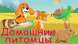 Учим Домашних животных. Развивающий мультфильм для детей. Повышаем словарный запас /0+