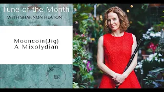 Mooncoin [Jig] - Tune of the Month with Shannon Heaton
