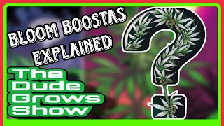 Growing Weed in 2023 The Secret to Dense Buds - Bloom Boosters - Dude Grows Show 1,461