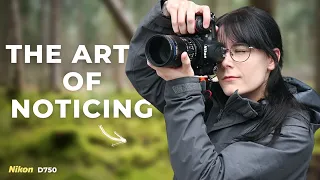 The Art of Noticing - Woodland Photography with a Nikon D750