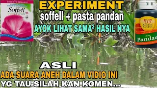 EXPERIMENT TERBARU !! CAMPURAN LUMUT UNTUK MANCING NILA || ESSEN JITU IKAN NILA