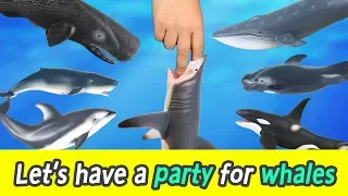 [EN] #72 Let’s have a party for whales, kids education, Collecta figureㅣCoCosToy