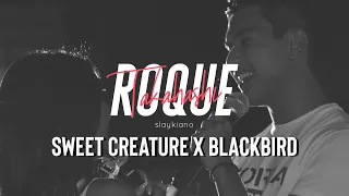 KIANO | Sweet Creature x Blackbird (Fan Made Video)