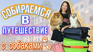 Собираю чемодан собак & свой 🧳 в путешествие | Куда мы едем? ☀️👙🏙️