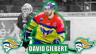 Belfast Giants Sign David Gilbert