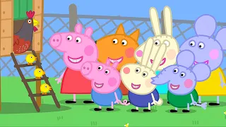 Granny Pig's Easter Chicks 🐣 | Peppa Pig Official Full Episodes