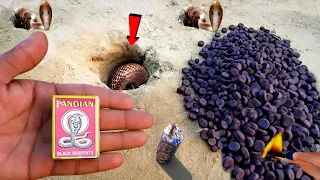 10000 Firecrackers Were Put Into The Snake 🐍 at One Time || Testing Crackers video at Once Time