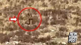 Bigfoot ‘spotted’ in Colorado in broad daylight — and it’s all on camera: ‘We’re convinced’